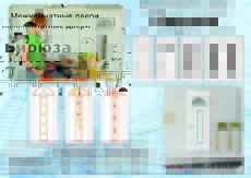 Межкомнатные двери модель Бірюка